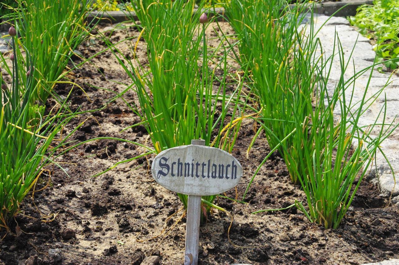 Landhotel Heidekrug Dohma Buitenkant foto